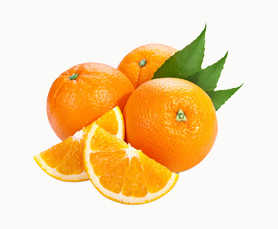 17. Yüzyıl Hollanda Resminde Portre