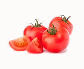 1856 Tarihli Bir Risâle Işığında Tuna Nehri’nin Tarihi Coğrafyası ve Jeopolitiği