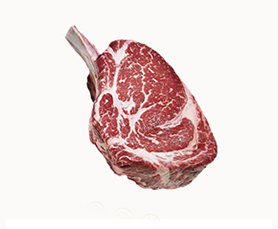 19 Mayıs 1919 - 19 Mayıs 2019 / 100 Öncü Kadın