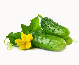 1916 Yılı Osmanlı Nüfus İstatistik Cetveli “1332 Senesi İstatistik Cetveli”