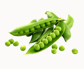 1983-93 Yılları Arasında Türk Siyasal Hayatında Anavatan Partisi ve Turgut Özal’ın Partideki Rolü