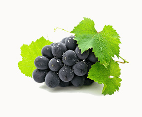 1990’dan Günümüze Türkiye ve Azerbaycan Edebiyatlarının Karşılıklı Etkileşimi