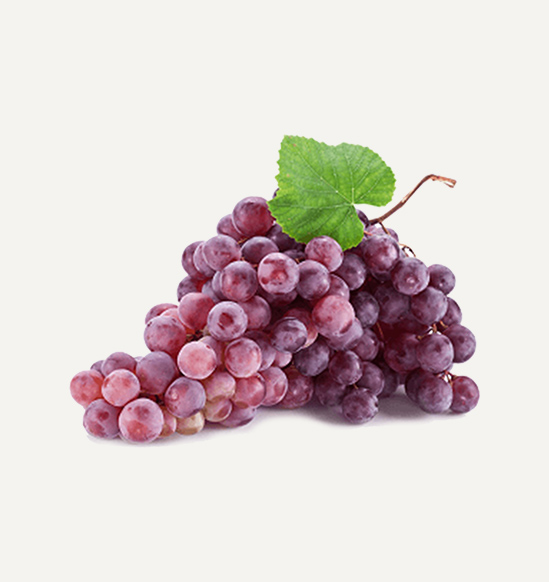 A Book On MTS: Multilateral Trade System Attemption For Millenial Muqaddimah”