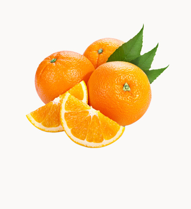 AB Enformasyon Toplumu ve Üniversite Kütüphanecileri