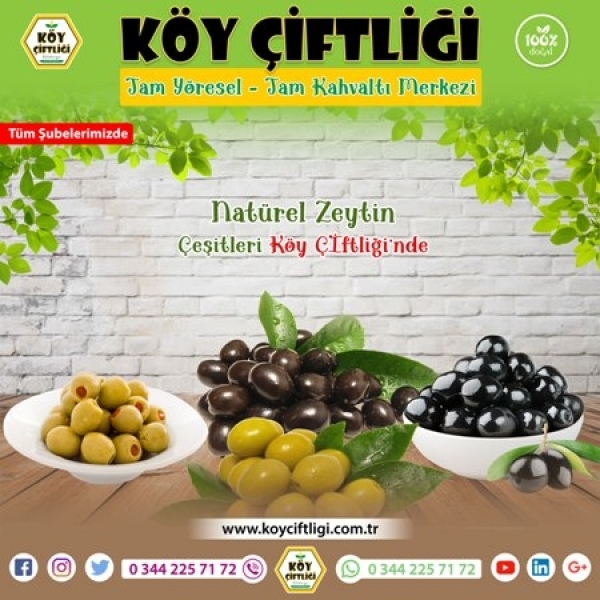 Natürel Zeytin Çeşitleri